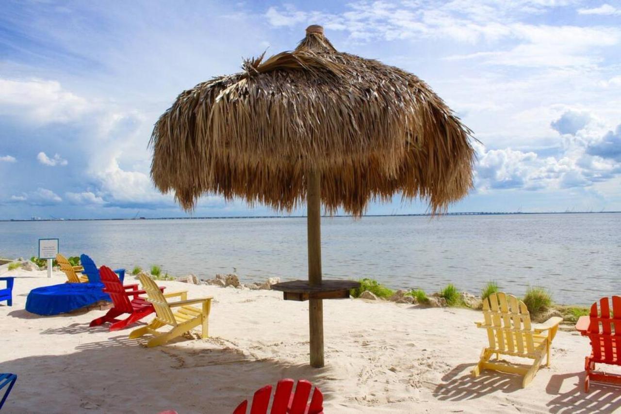 Sunset Paradise - Find Yourself In Tampa