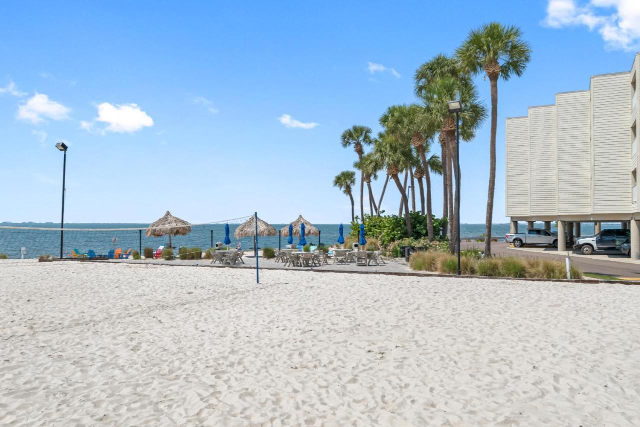 Sunset Paradise - Find Yourself In * Tampa